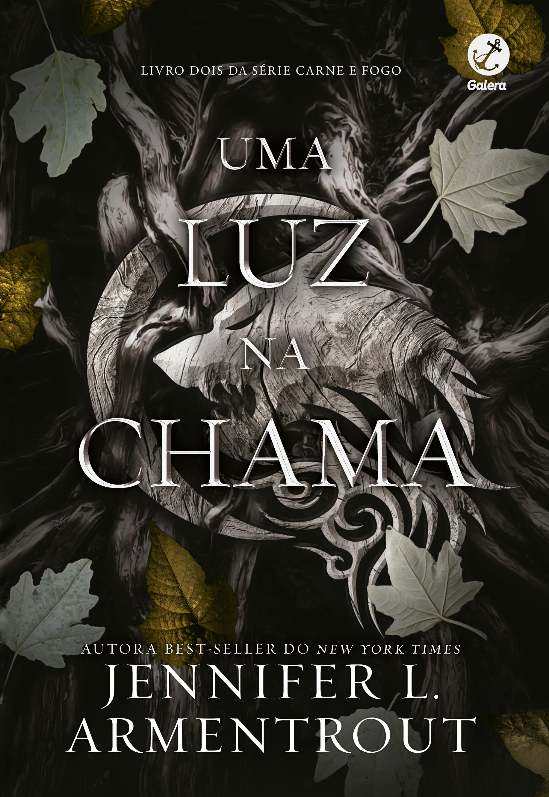 Uma luz na chama (Vol. 2 Carne e Fogo)