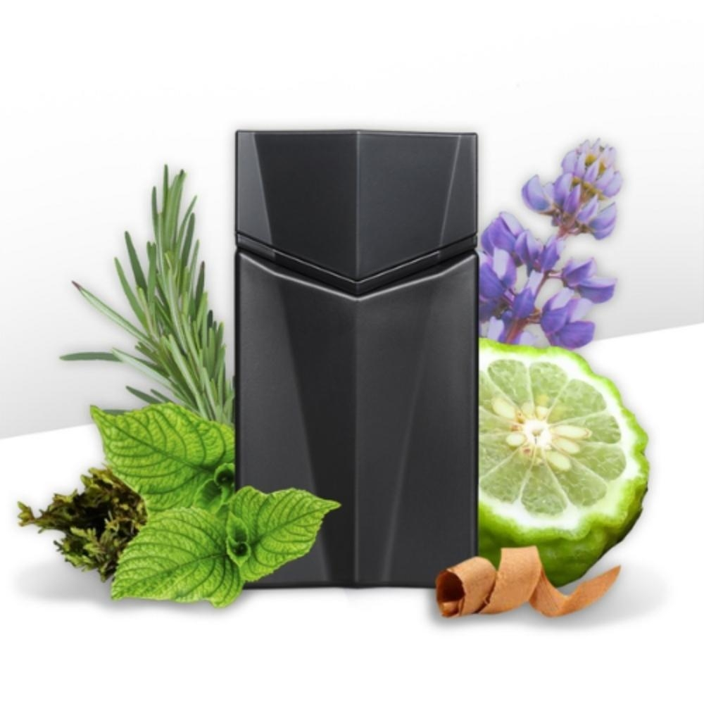 Animale Seduction Homme Eau de Toilette Masculino-30 ml