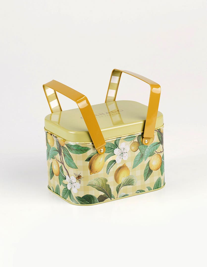 Kit Cesta Picnic Citrus Brasilis